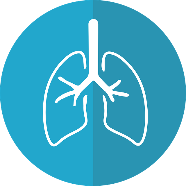 Perubahan Yang Terjadi Pada Paru-paru Perokok